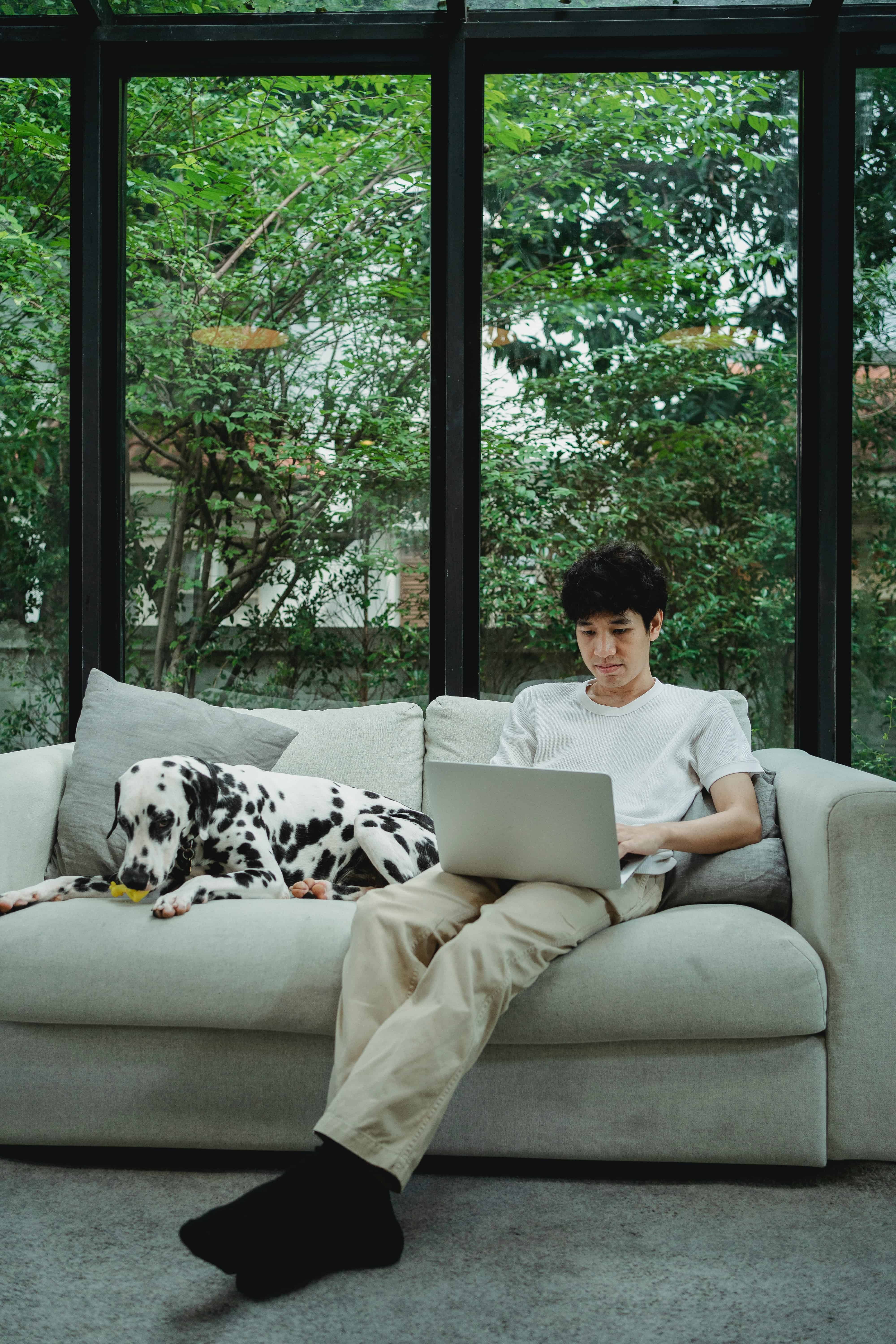 Relaxing in front of a Glass Window